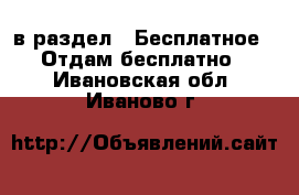  в раздел : Бесплатное » Отдам бесплатно . Ивановская обл.,Иваново г.